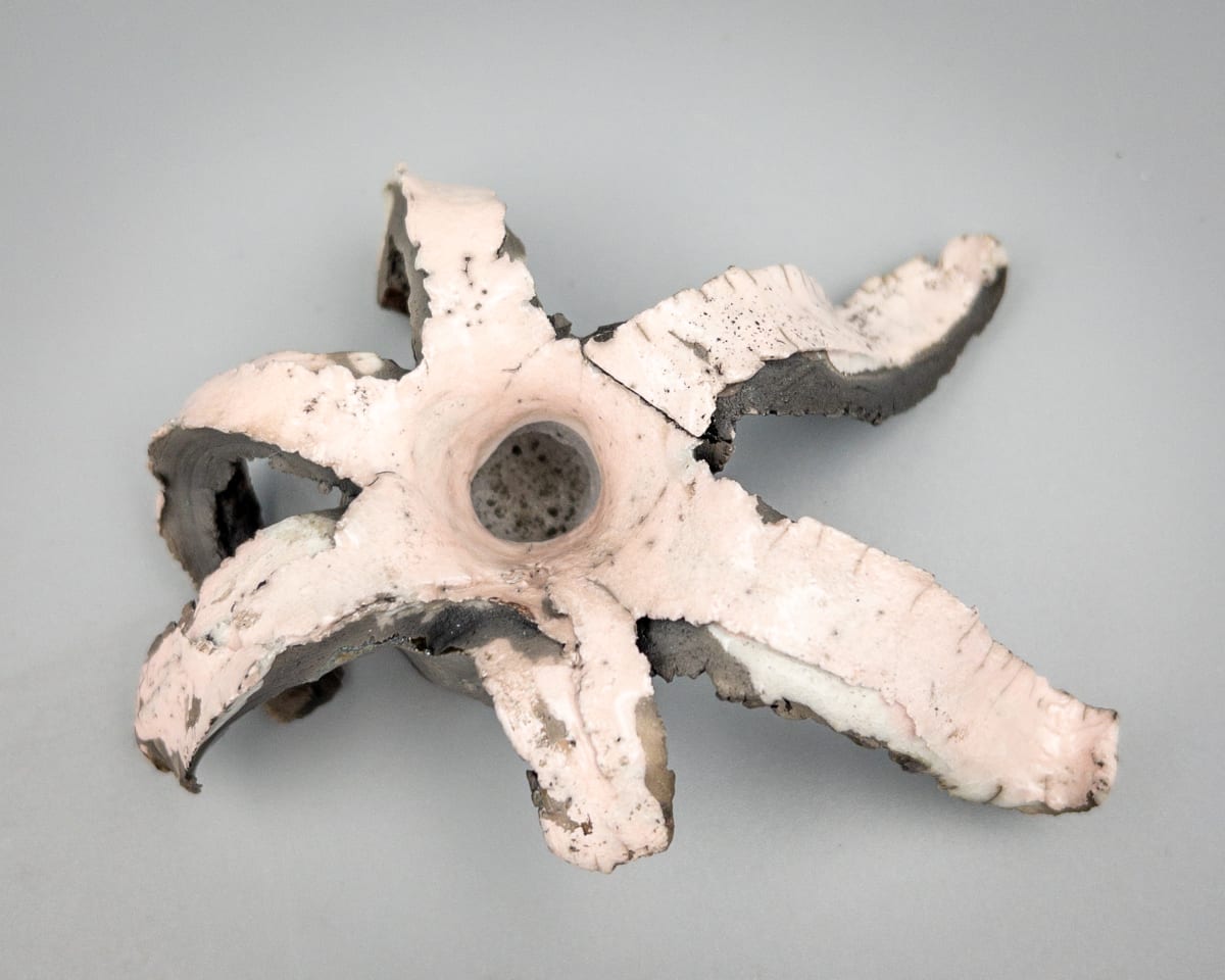Ballistic Pottery - 74 by Chris Heck 