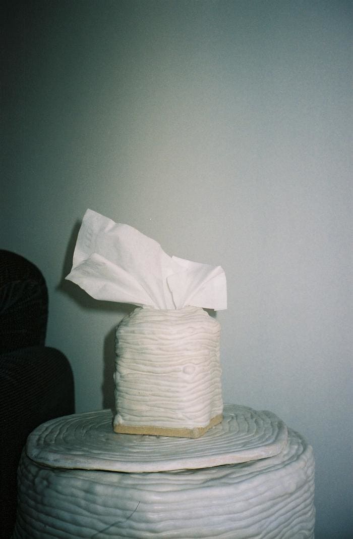 Tissue Box by ELIANAH SUKOENIG 