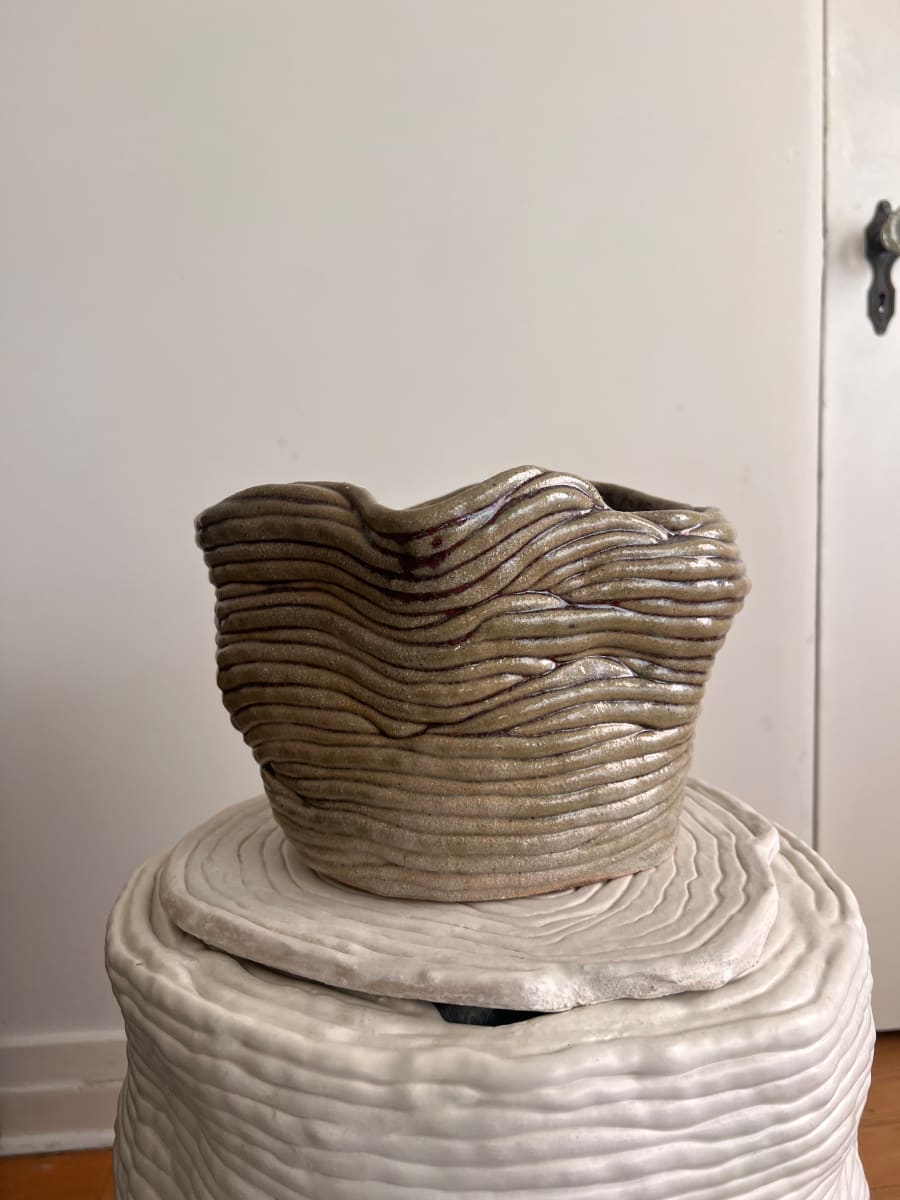 Medium Swamp Vessel by Elianah Sukoenig, Image 1.