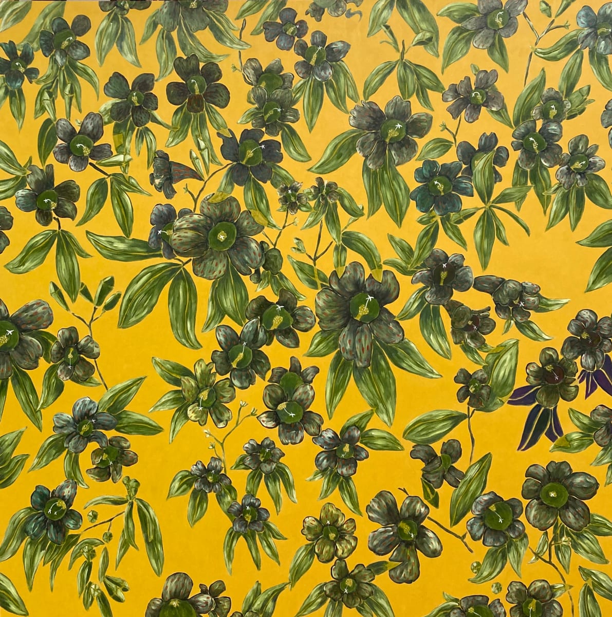 Anomaly by Lynn Sisler, Image 1.