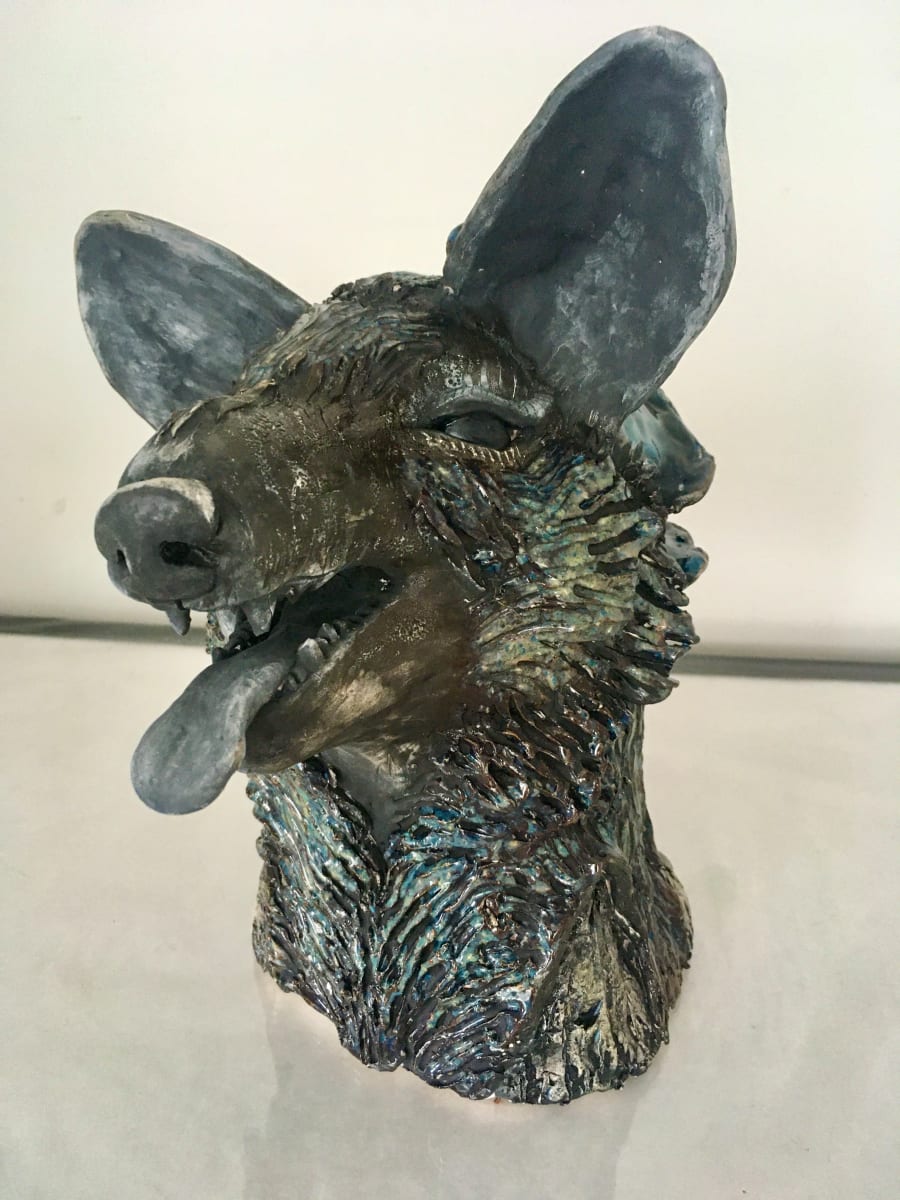 Coyote (Buddah) by Lynn Sisler 