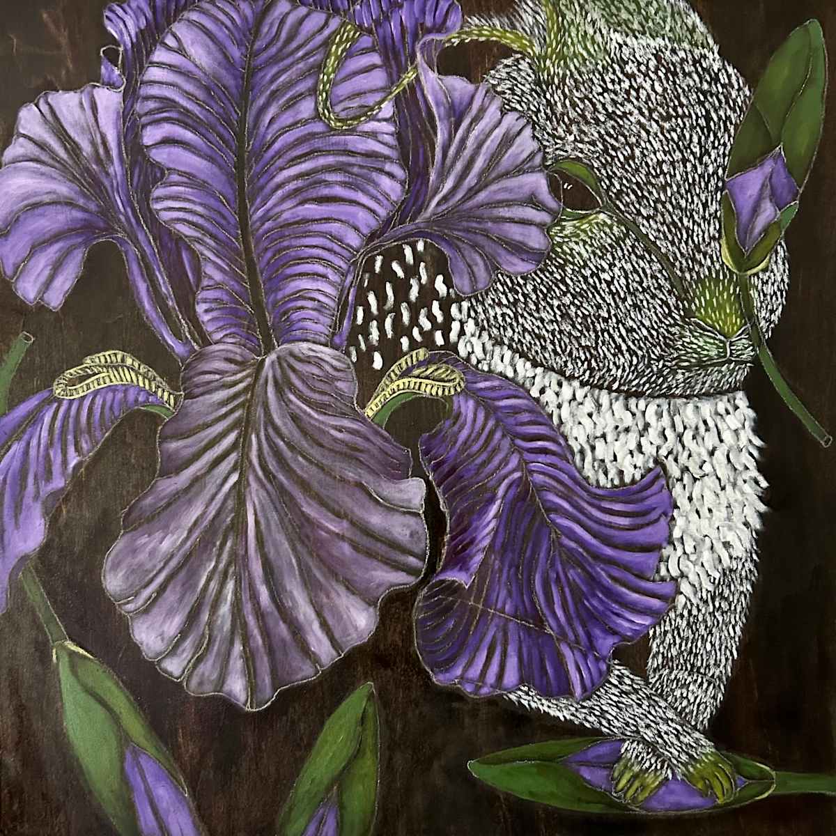 Iris by Lynn Sisler 