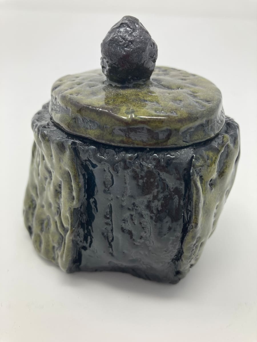 Mossy Tree Jar by Lynn Sisler 