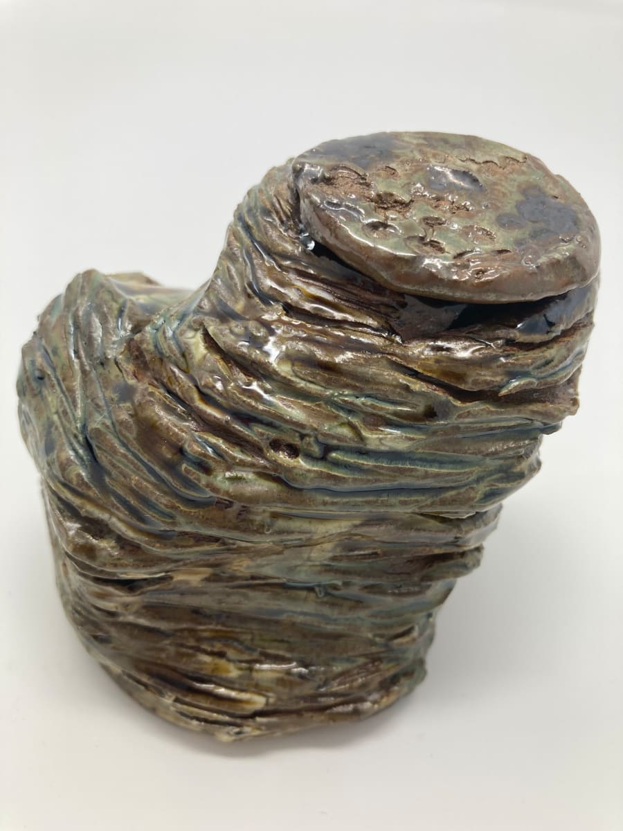 Nest Jar 4 by Lynn Sisler 