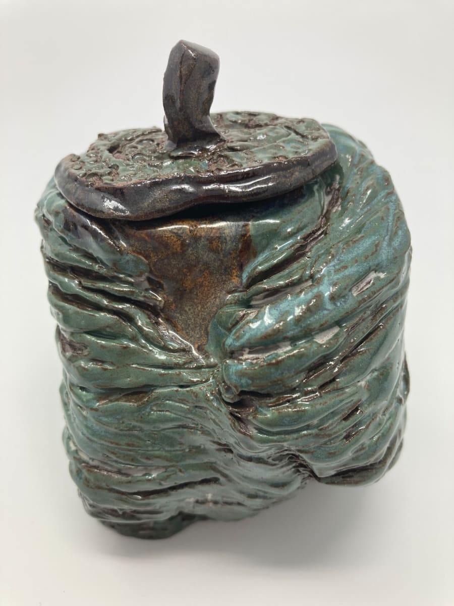 Nest Jar 5 by Lynn Sisler 