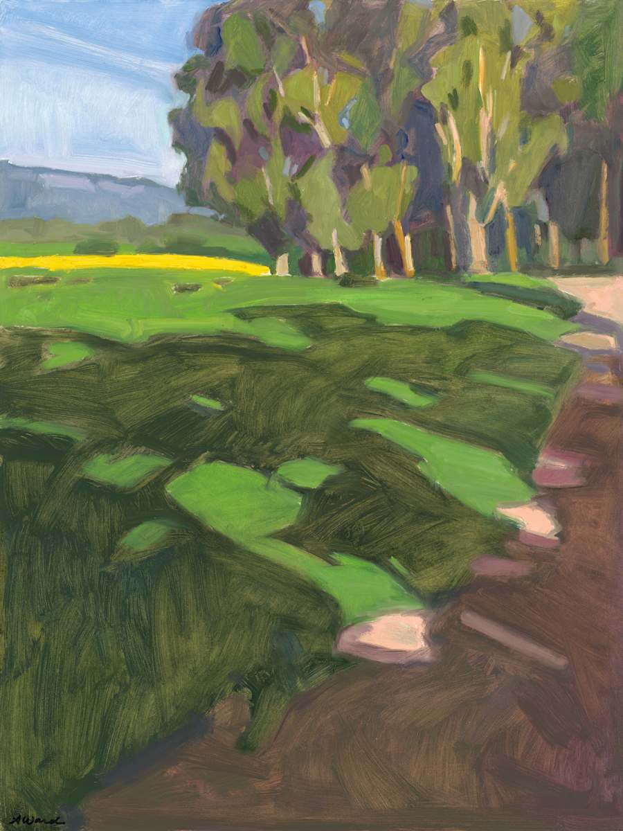 The Path Home Study by Anne Ward 