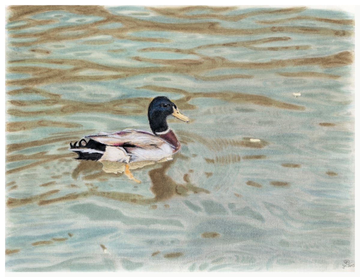 Pato no rio by Carla Caroça 