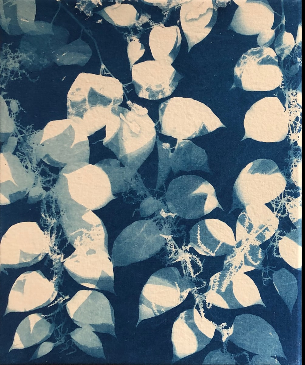 Knotweed by Marie Craig 