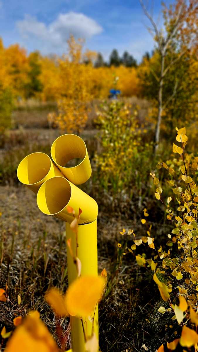 Sunflower by john henley  Image: Sunflower - A Garden Sculpture