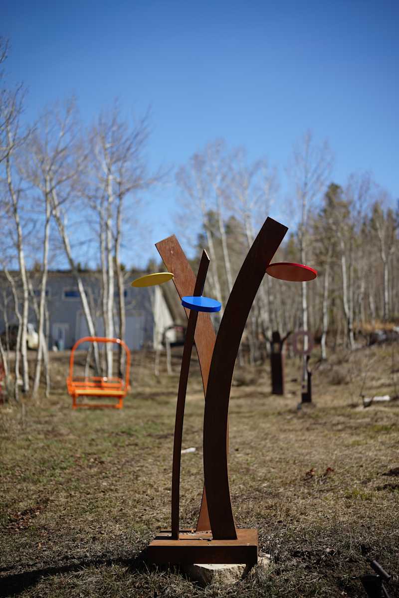 Lollipop Tree by john henley  Image: Lollipop Tree