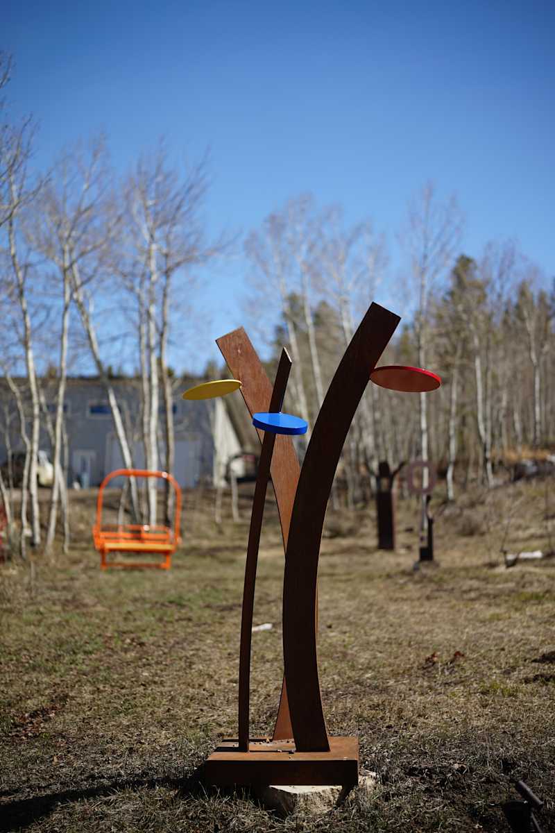 Lollipop Tree by john henley, Image 2.