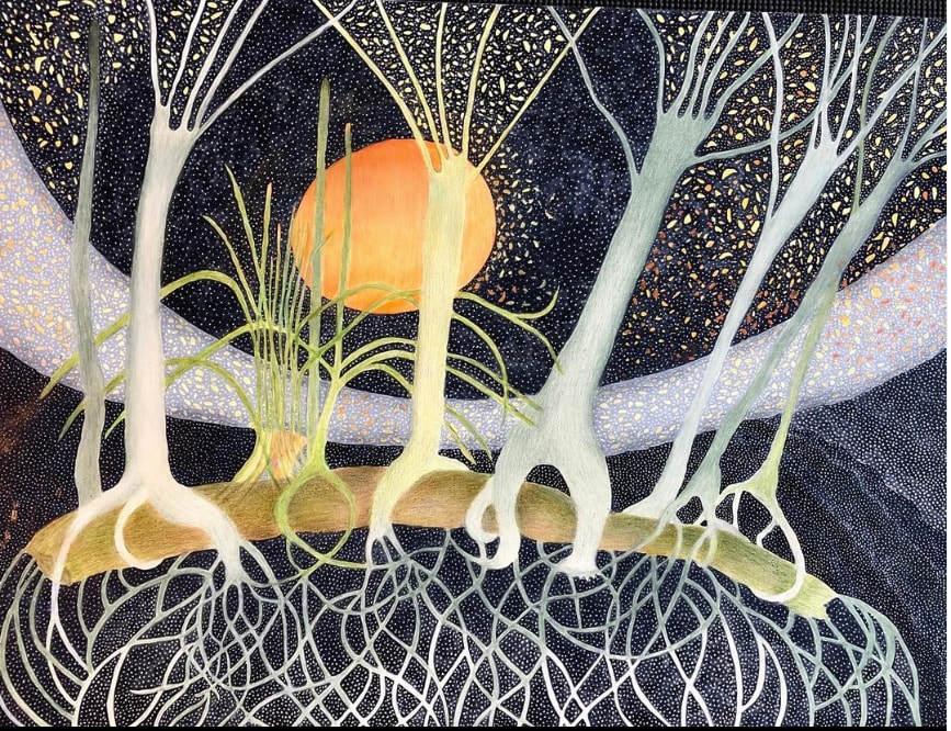 Nursery Log by Ann Leda Shapiro 