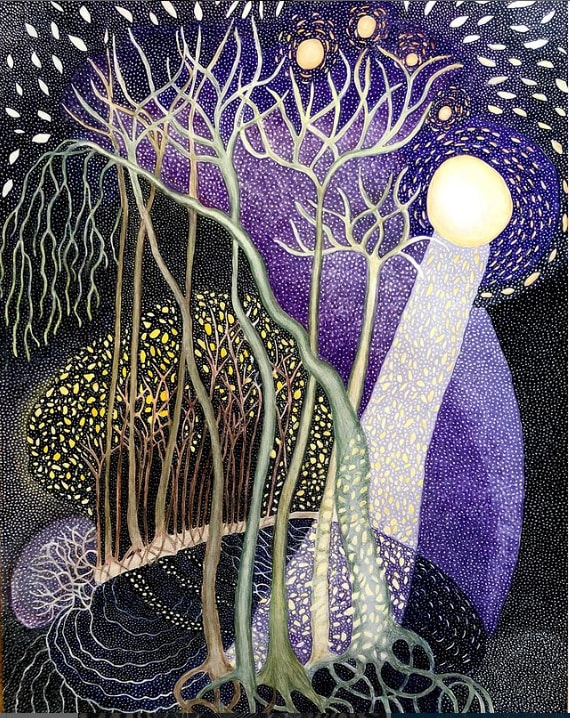 Moon Shadow by Ann Leda Shapiro 