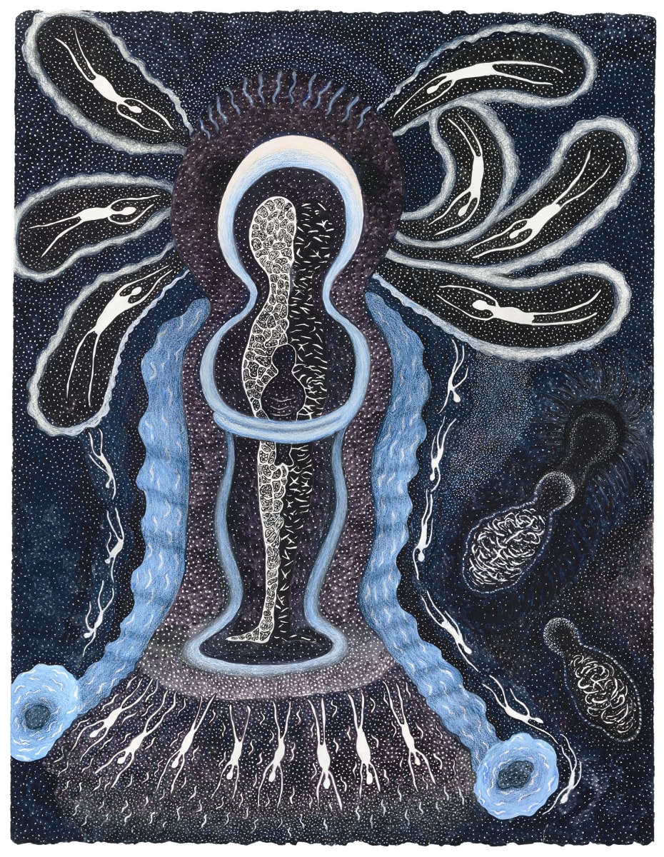 Split 2 / Protect by Ann Leda Shapiro, Image 1.