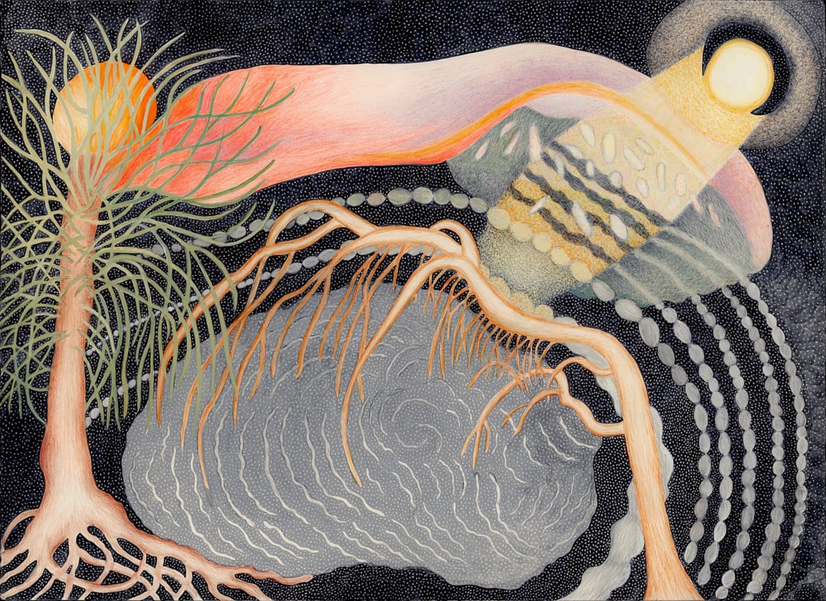 Dream Bodies by Ann Leda Shapiro 