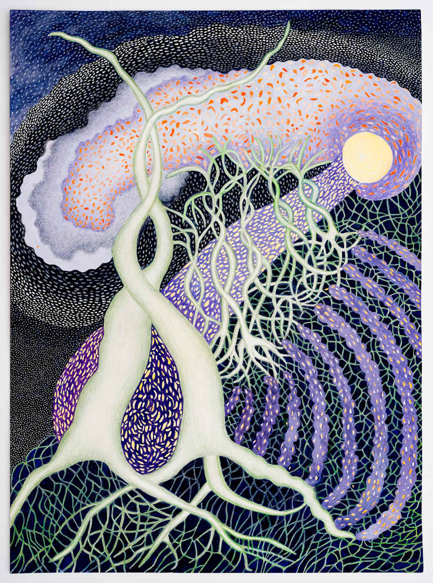 Green Snake Trees by Ann Leda Shapiro, Image 11.