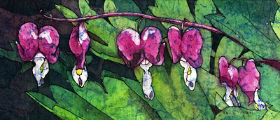 Bleeding Heart by Krista Hasson 