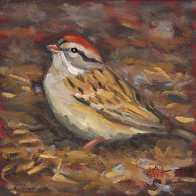 Chipping Sparrow by Krista Hasson 