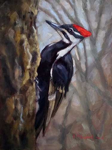 Pileated woodpecker by Krista Hasson 