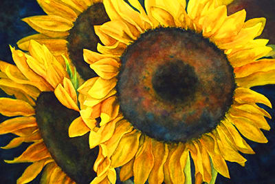 Sunflowers by Krista Hasson 