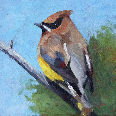 Cedar Waxwing by Krista Hasson 