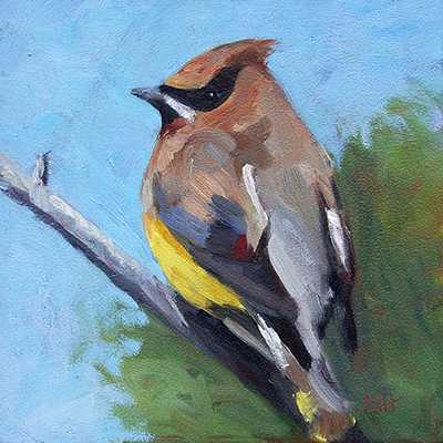 Cedar Waxwing by Krista Hasson, Image 1.