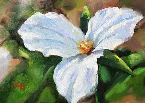 White trillium by Krista Hasson 