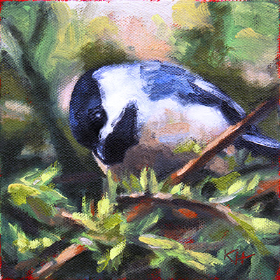 Fat Chickadee by Krista Hasson 