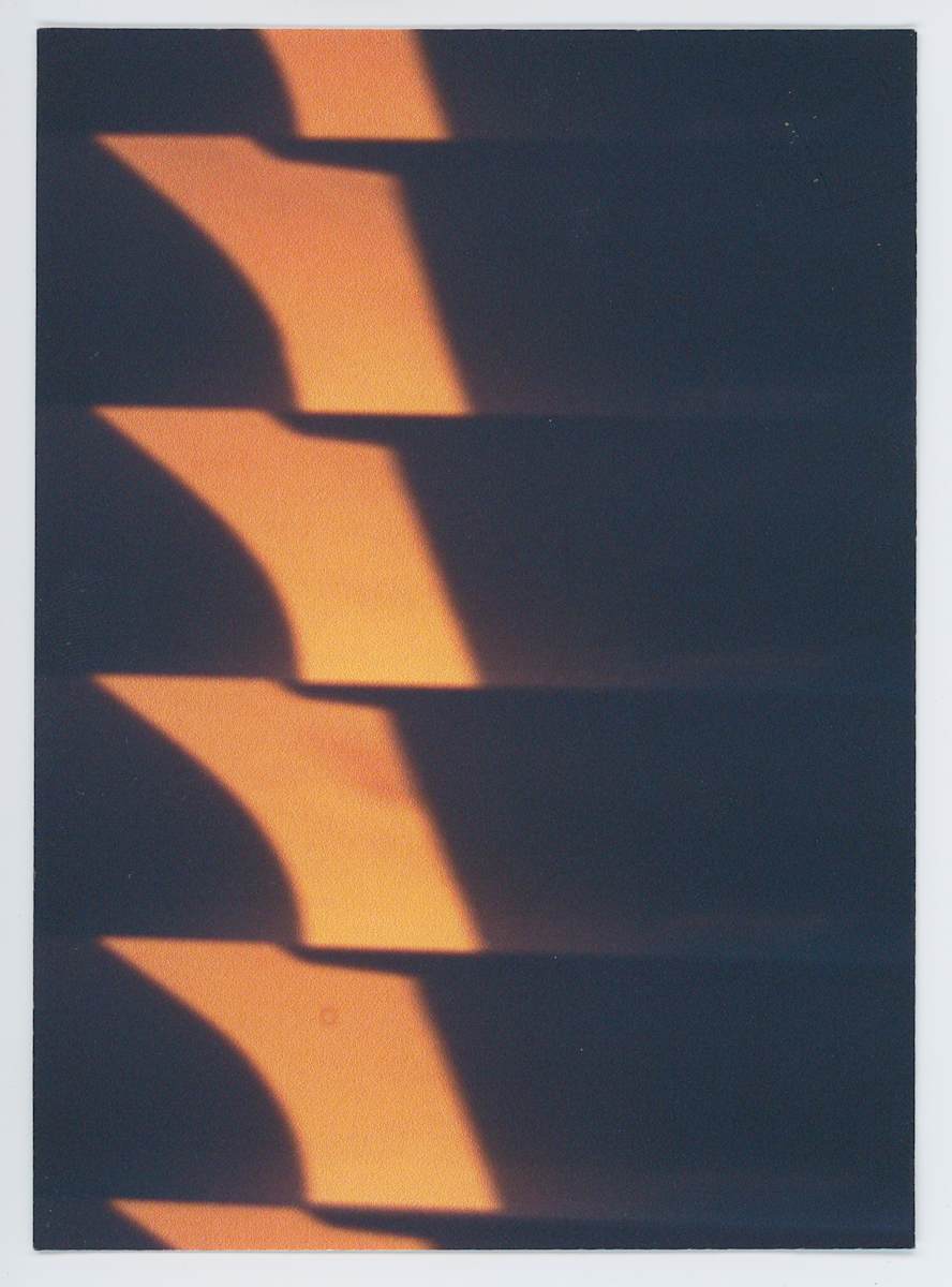 Untitled by The Katy Dove Estate 