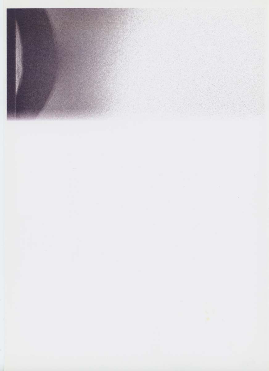 Untitled by The Katy Dove Estate 