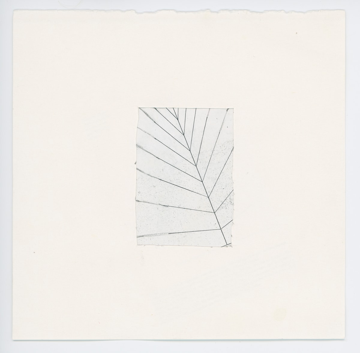 Untitled by The Katy Dove Estate 