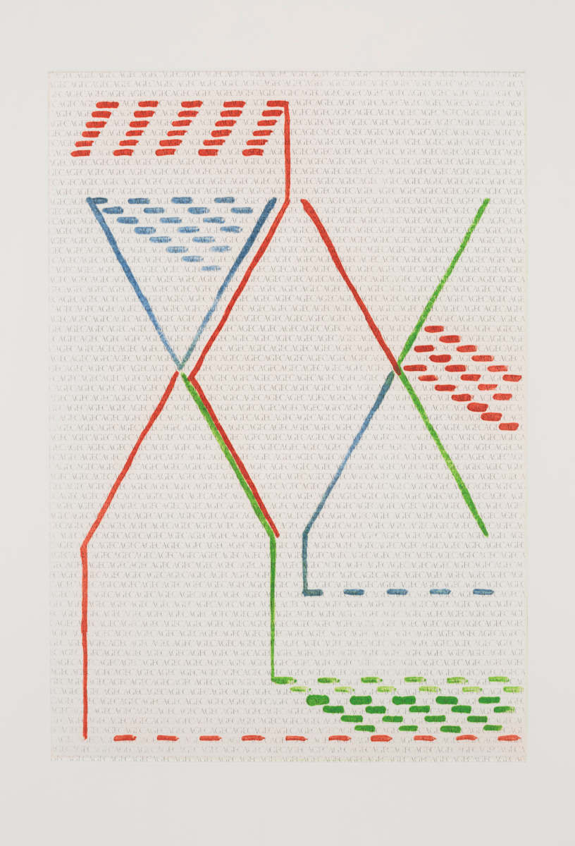 CAGE 16/20 by The Katy Dove Archive