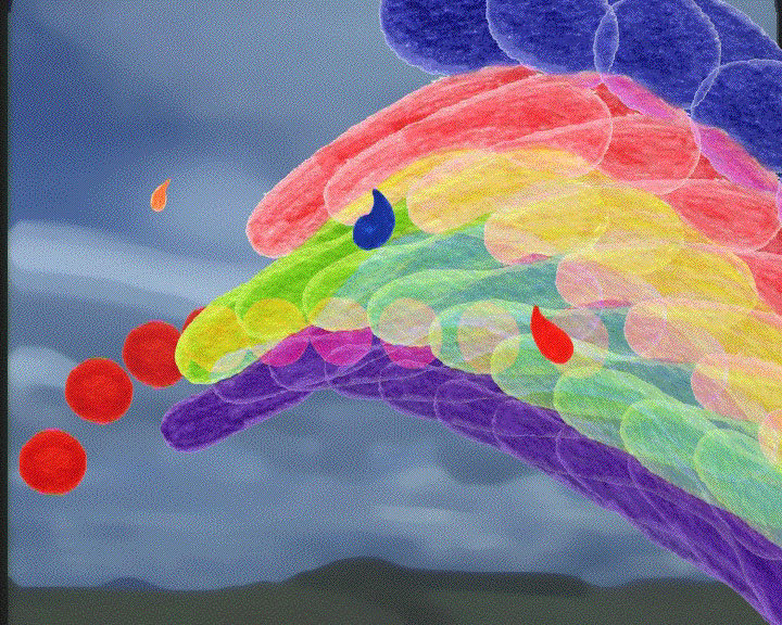 The Rush by The Katy Dove Archive 