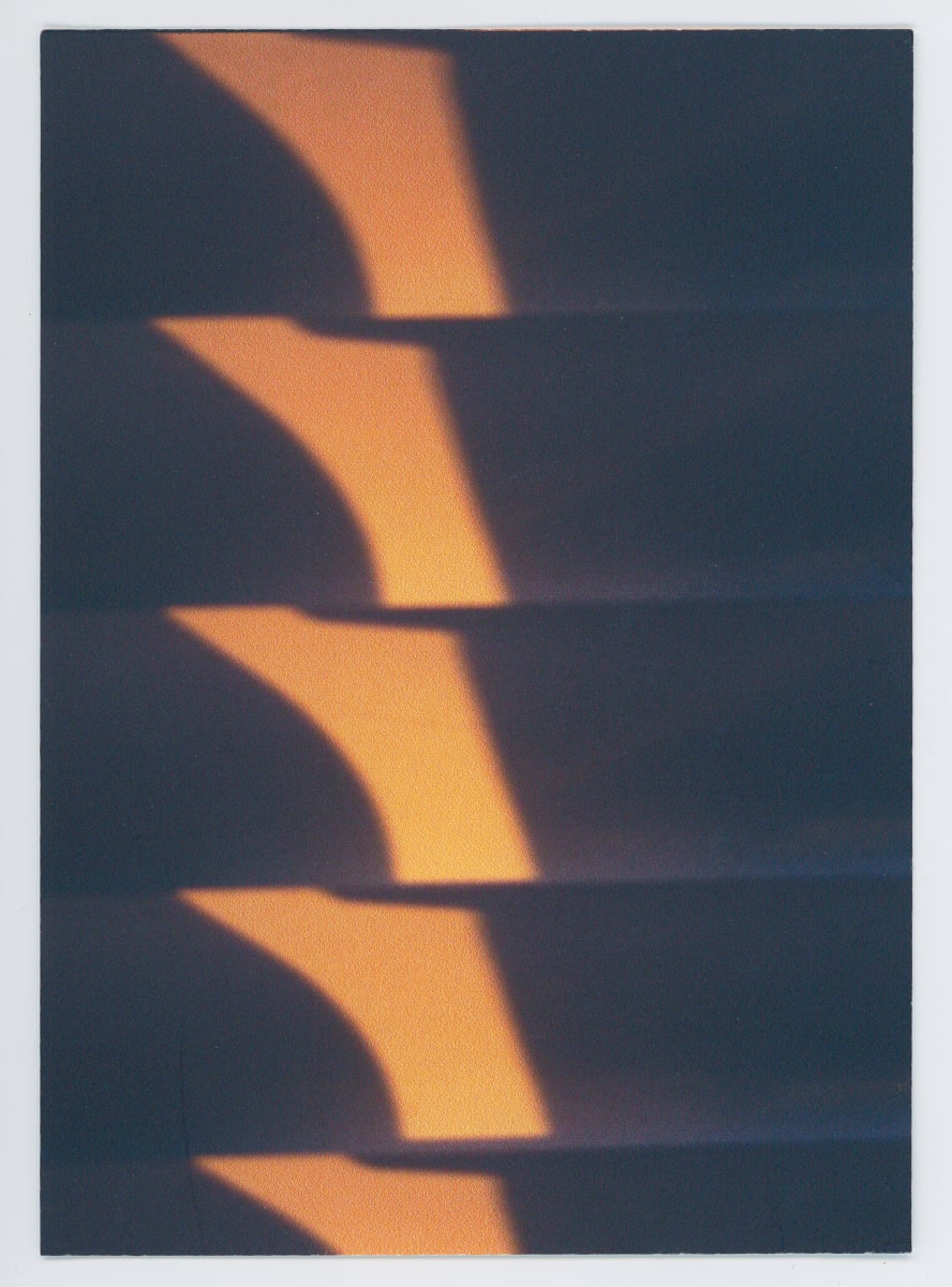 Untitled by The Katy Dove Estate 