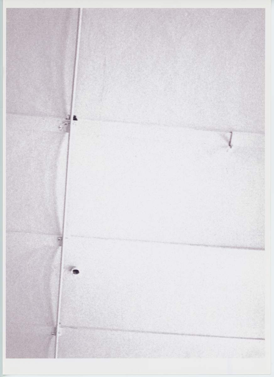 Untitled by The Katy Dove Estate 