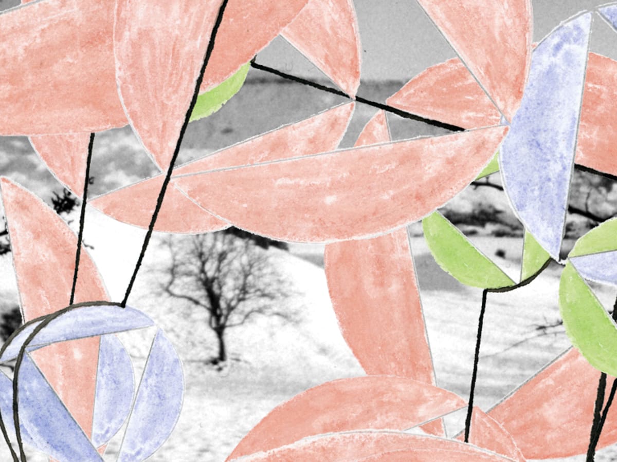 Upcountry by The Katy Dove Archive 