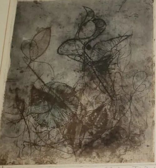 Unknown by Johnny Gotthard Friedlander 