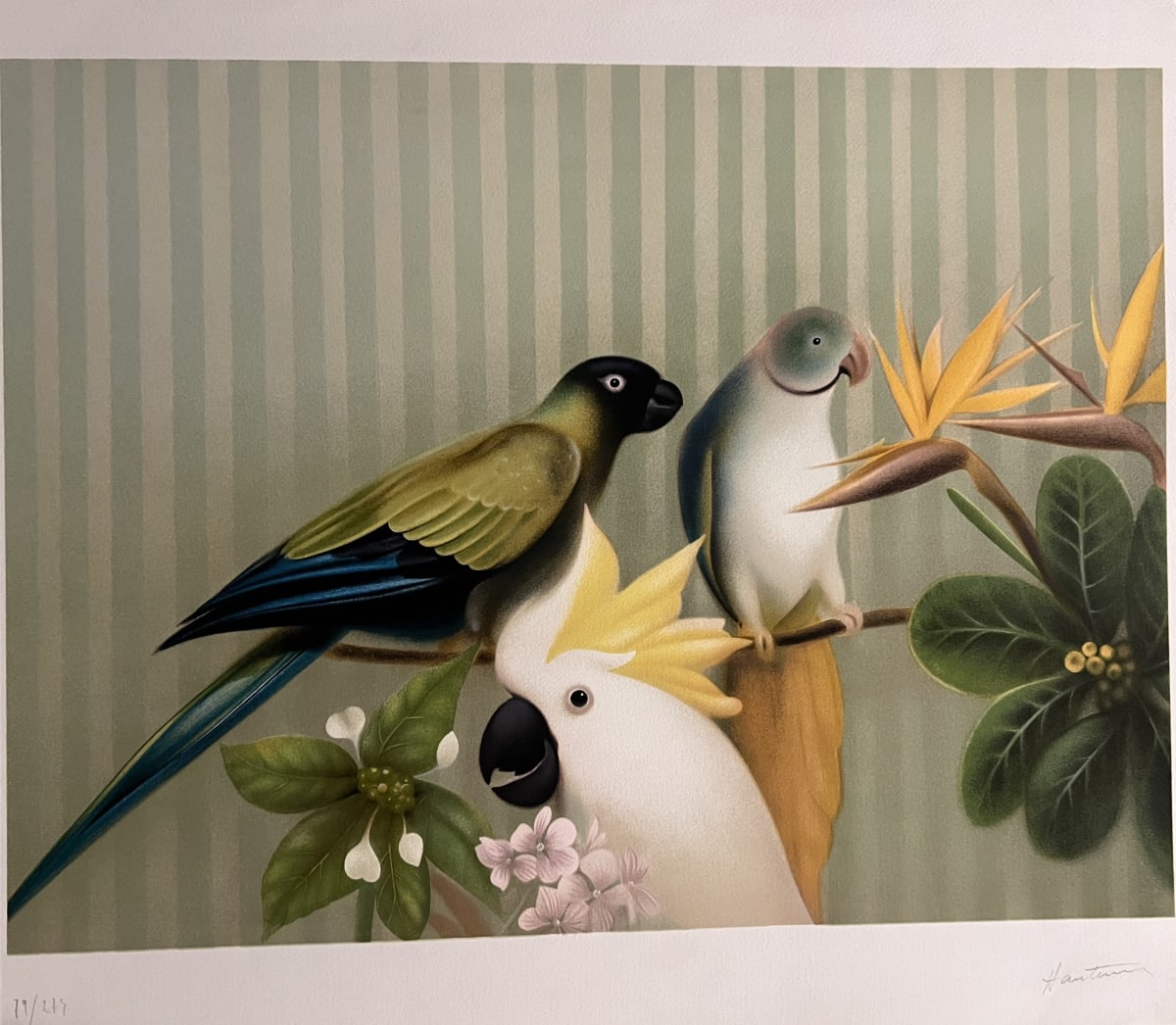 Les visiteurs by Arnaud D'Hauterives, Image 1.
