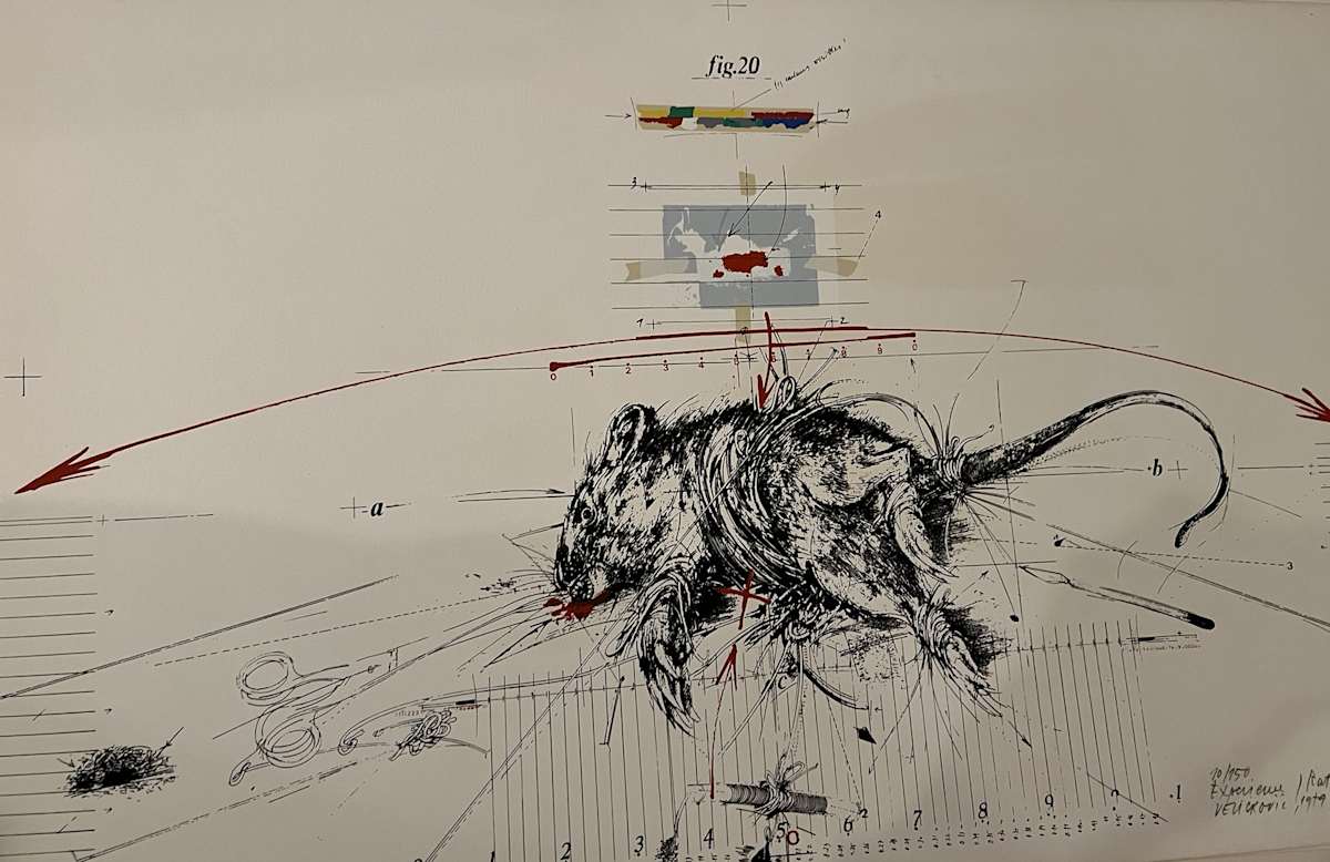 Experience on Rat # 20 by Vladimir Velickovic, Image 4.