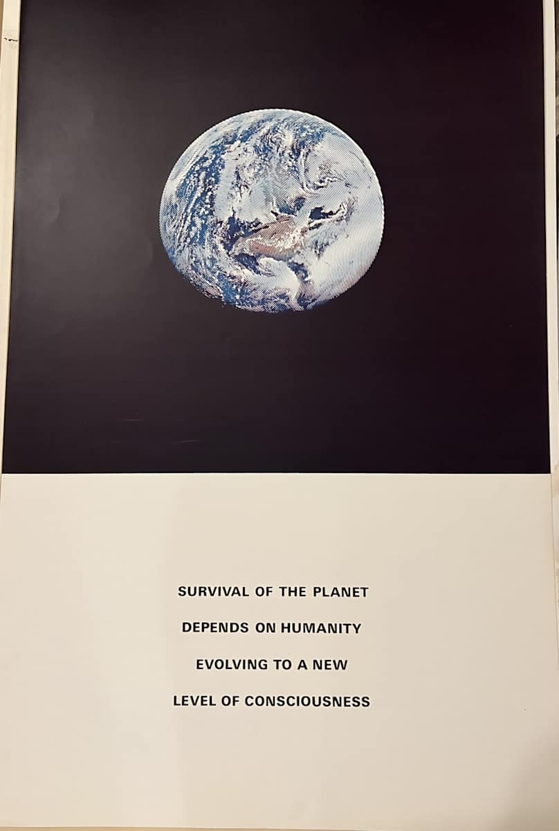 Survival of the planet by Alain Jacquet 