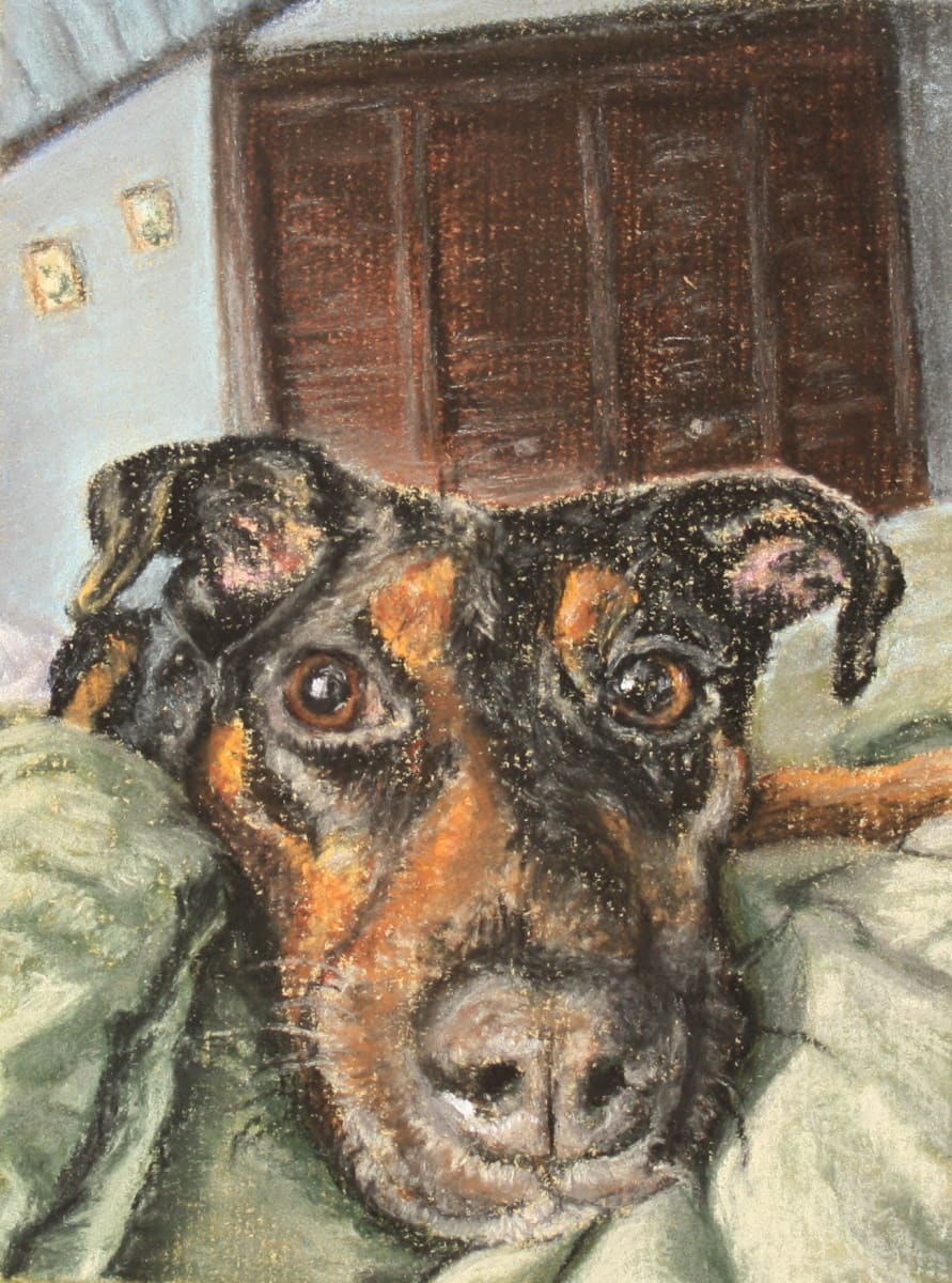 Good Morning by Leanne Marchand  Image: The artist's dog, Ronin.