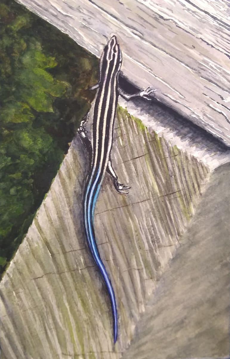 Porch Skink by Leanne Marchand 