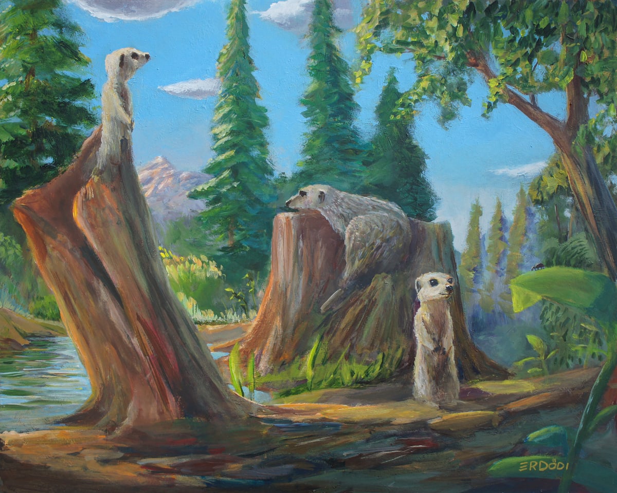 Back to the nature by Tamas Erdodi, Image 1.