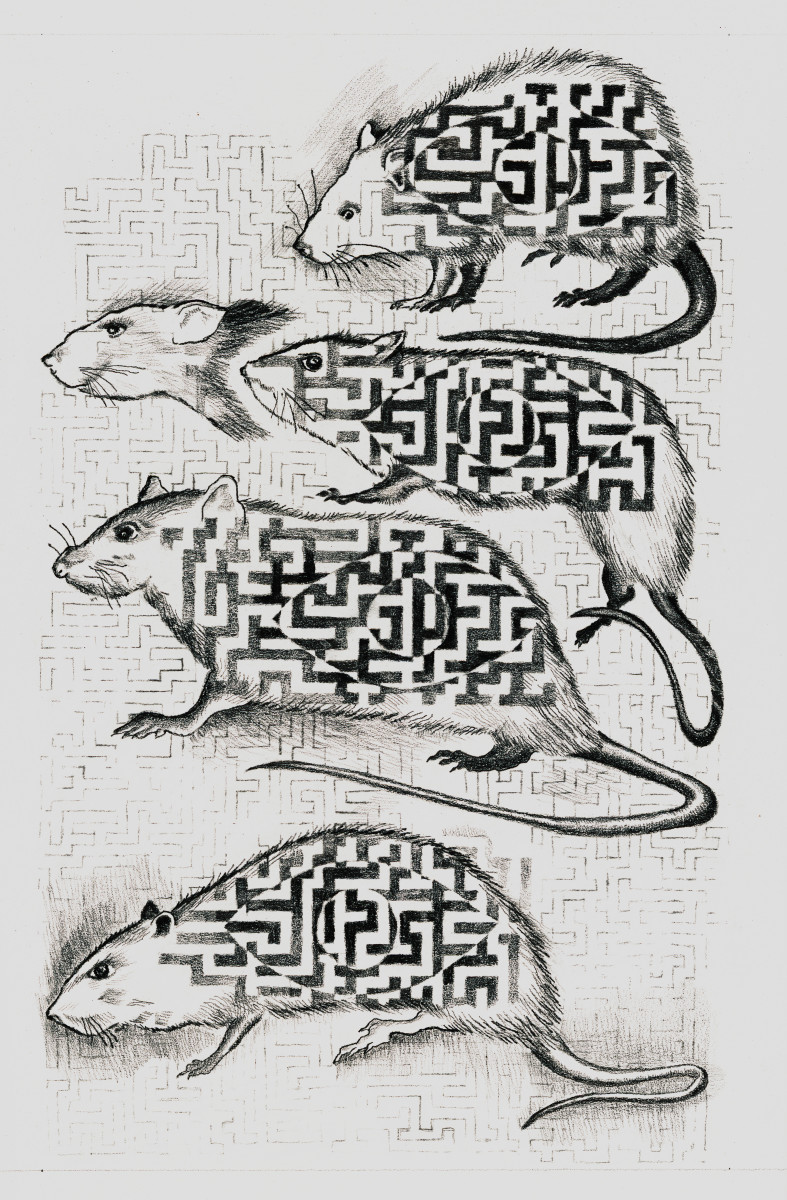 Maze in Rats by alice brickner  Image: For Creative Psychiatry, a  Ciba Geigy Publication.
