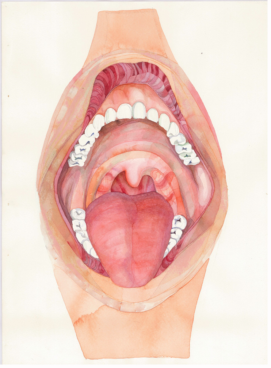 Open Mouth by alice brickner  Image: teeth, tongue , uvula
