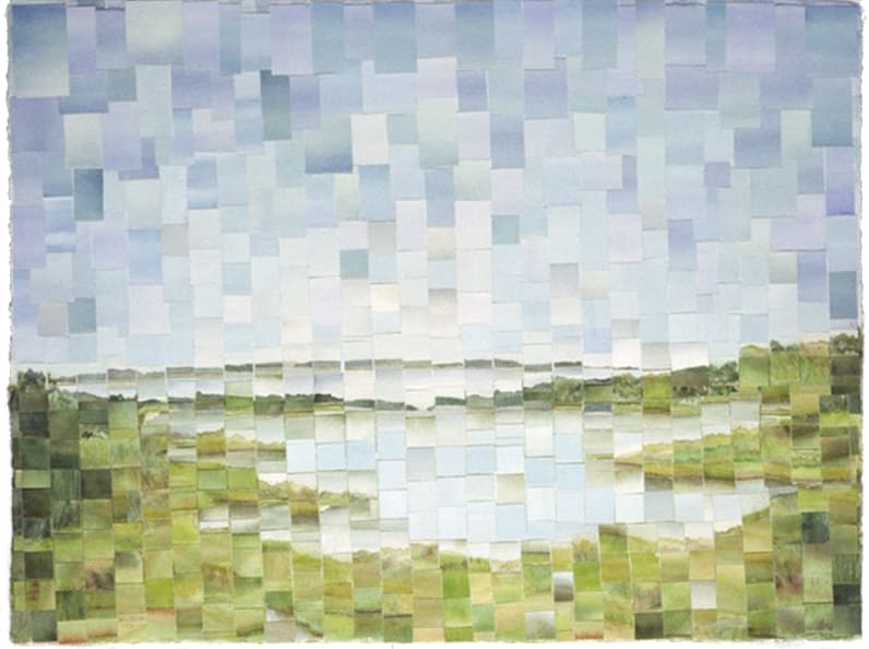 Wetlands Shallow Bay Mosaic by alice brickner 