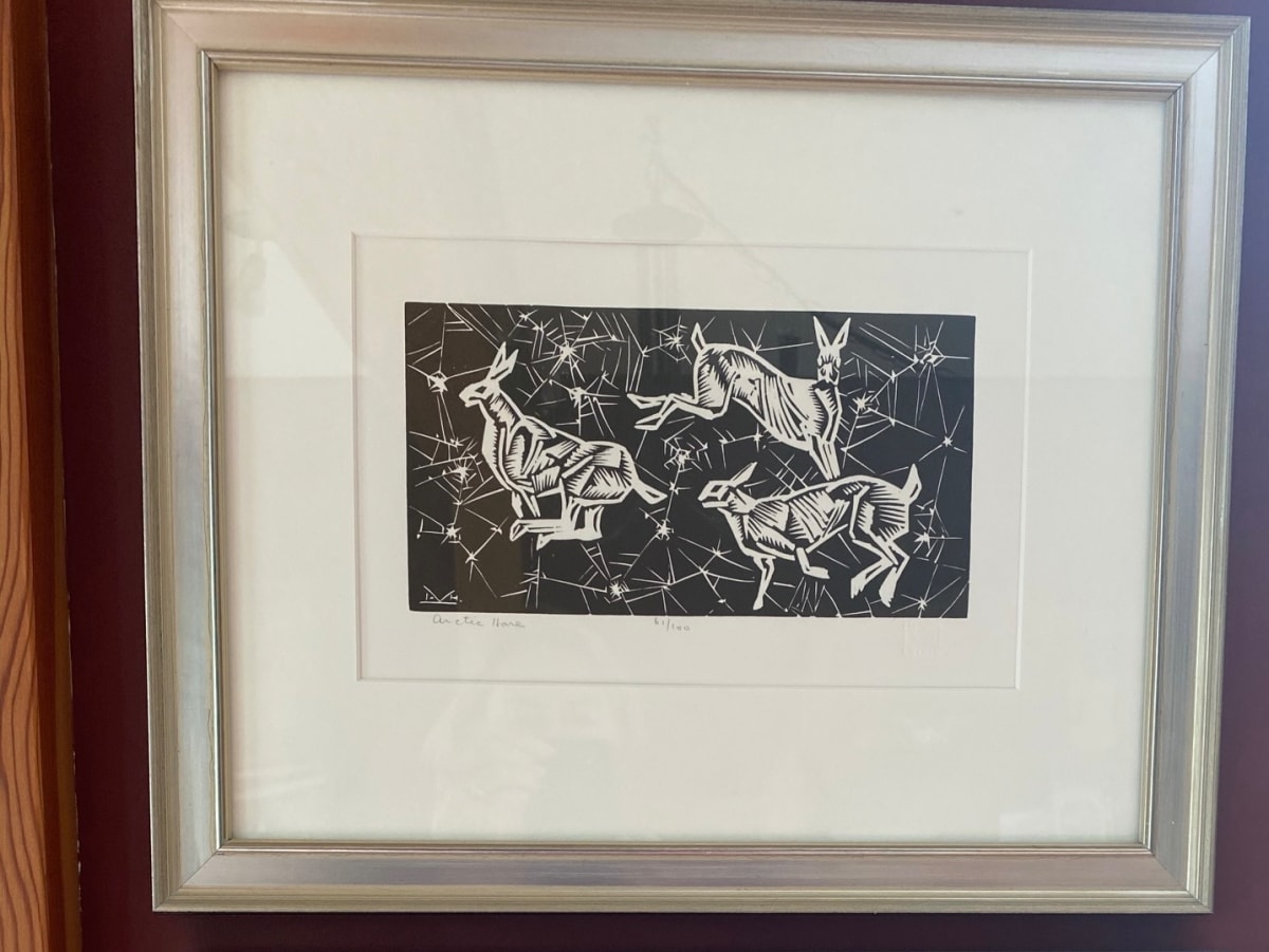 Artic Hare by Illingworth Kerr 