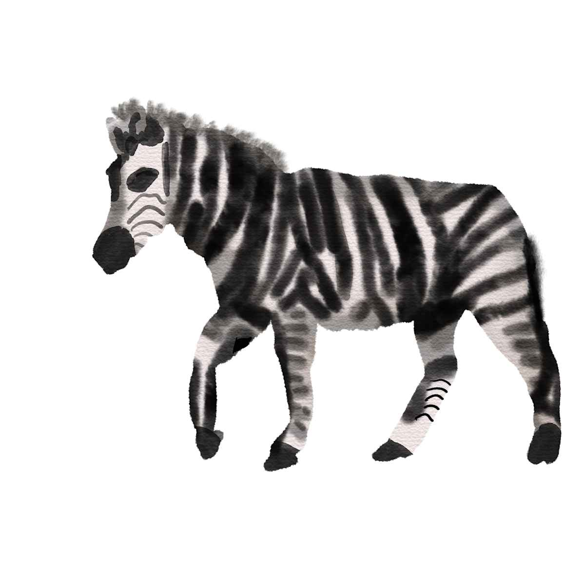 Zebra by Emily Rose Govier Honderich  Image: A stylized digital watercolor illustration of a zebra on a white background. The zebra features a blend of black and gray stripes with soft, brushstroke textures that mimic traditional watercolor techniques. Its upright mane and dynamic pose—one leg lifted mid-step—capture a sense of gentle movement. The minimalistic background emphasizes the zebra’s form and striking pattern, making it a standout piece for nature and animal lovers.