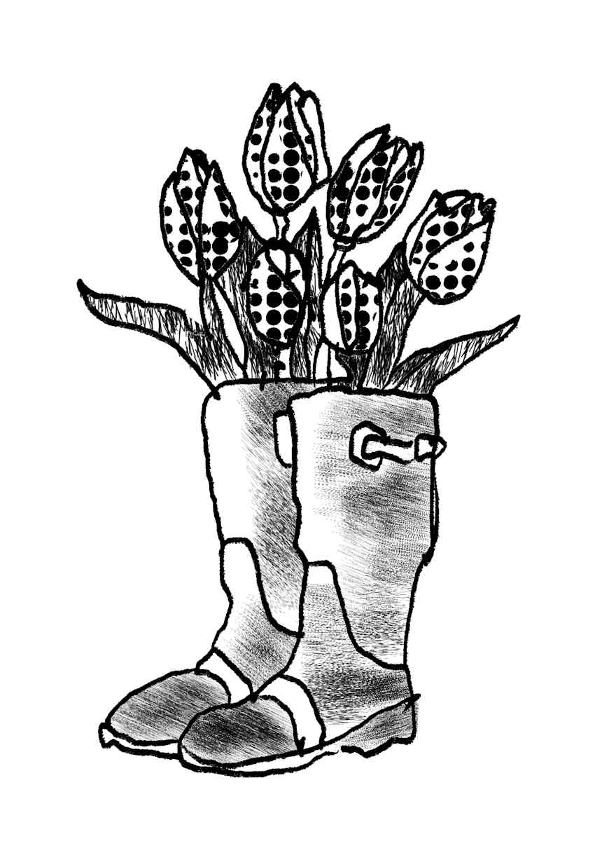 Tulip Boots by Emily Rose Govier Honderich  Image: A whimsical black-and-white ink drawing featuring a pair of well-worn rain boots repurposed as a planter for blooming tulips. The detailed linework and stippling technique bring texture and depth to the composition, emphasizing the contrast between the sturdy boots and the delicate floral arrangement. This charming and imaginative piece blends elements of nature and everyday life, symbolizing renewal, creativity, and the beauty of repurposing the ordinary.