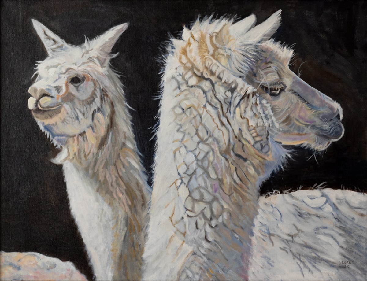 Alpacas Shy & Sophisticated by Joan M.Losee 
